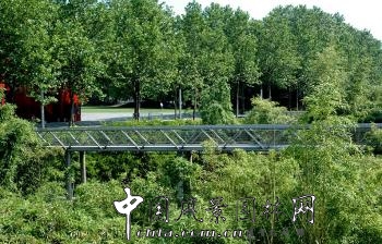 亞歷山大?謝梅道夫(一)：拉維萊特公園—竹園
