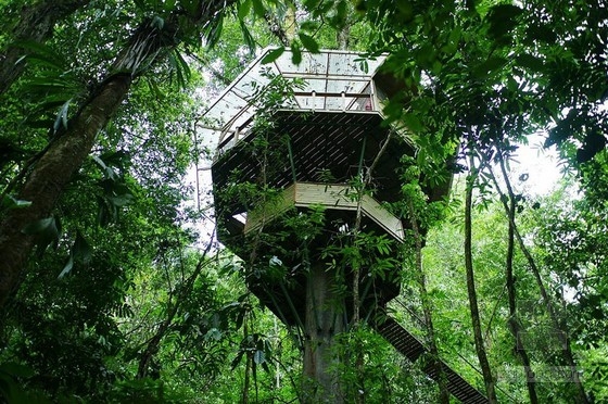 可持續樹屋社區