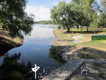 馬里奧?謝赫楠作品(八)：墨西哥夕扎索公園