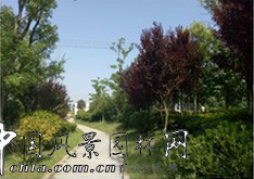 華藝園林喜獲2015年城鎮園林綠化精品示范工程