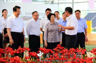 中共中央政治局委員、中央統戰部部長孫春蘭蒙草調研