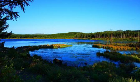 杜鵑湖