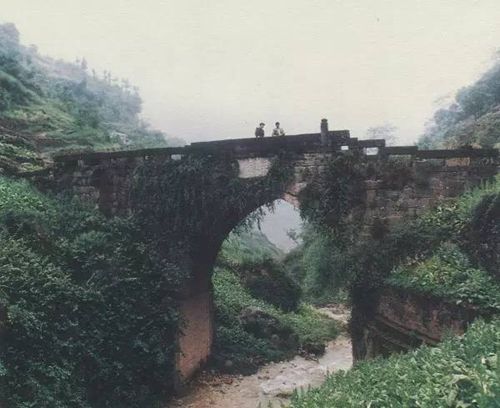 無伐橋