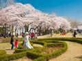 大自然的恩賜——韓國首爾兒童大公園