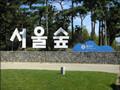 韓國(guó)首爾的“中央公園”——首爾林