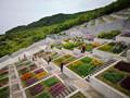 參觀大師安藤忠雄作品 考察大阪住宅與商業建筑