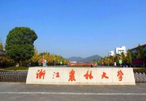 浙江農林大學：用藝術助力鄉村文化振興