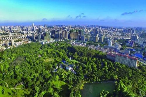 嶺南股份：行業(yè)重啟 信心充足