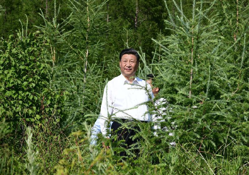 鄉村振興 習近平反復強調這四個字