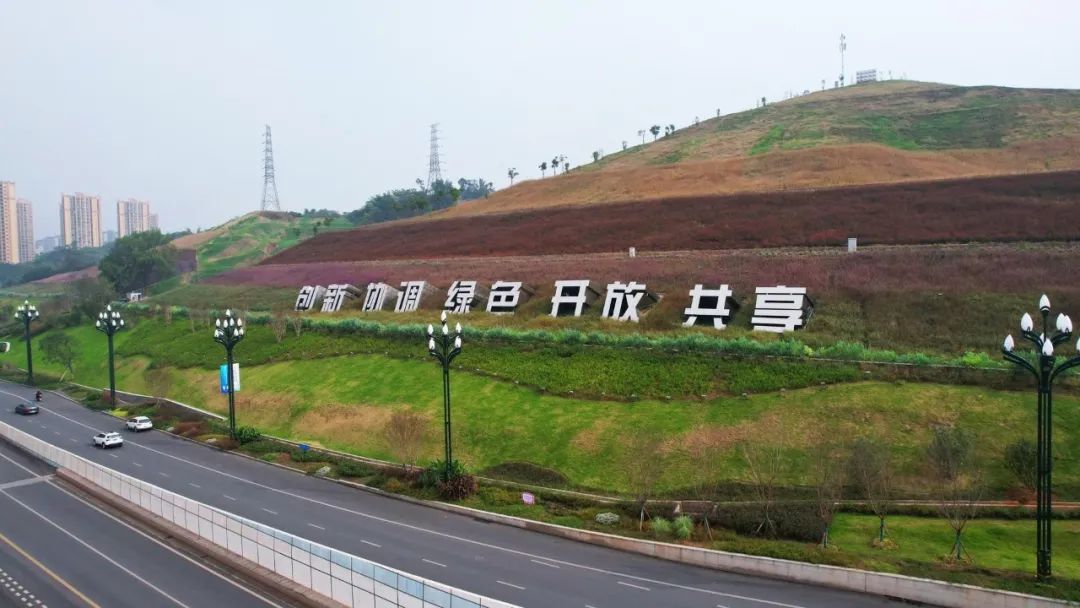 園冶杯獲獎作品丨掛弓山邊坡生態(tài)修復