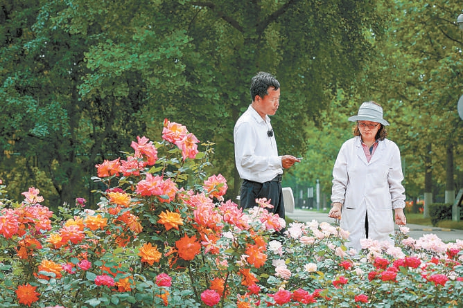 北京：10個(gè)“市花”新品種邀您命名