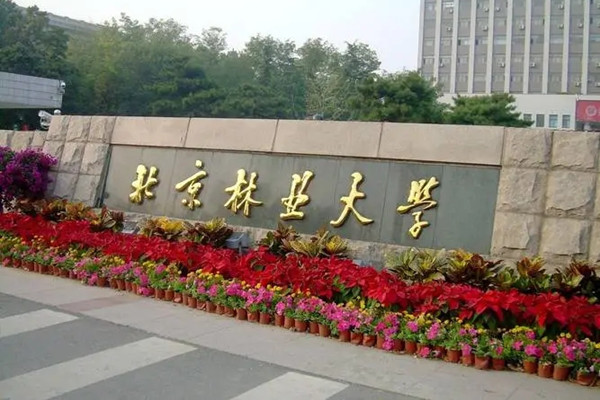 北林大三門園林課躋身國(guó)家級(jí)一流行列
