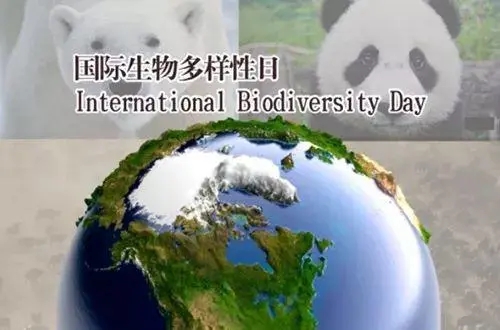 為什么要攜手保護(hù)生物多樣性？