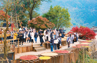 數字傳播帶火鄉村旅游