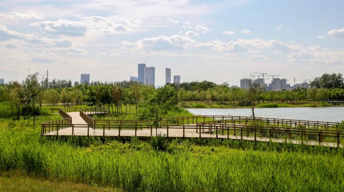 建設花園城市 北京這樣添綠