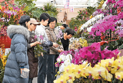 今年年宵花更注重傳統(tǒng)文化與現代元素融合