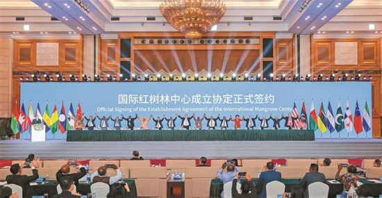 國(guó)際紅樹林中心在深圳揭牌