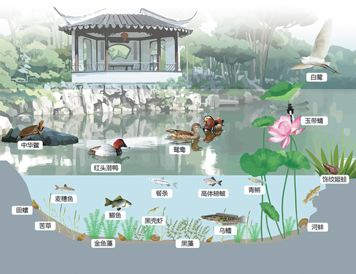 蘇州園林，何以展現生態意境？