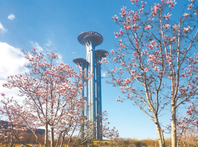 北京朝陽區(qū)多舉措全力推進(jìn)花園城市建設(shè)