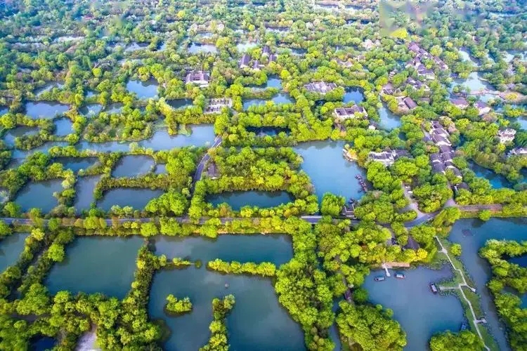 我國國家濕地公園20年建設成果豐碩